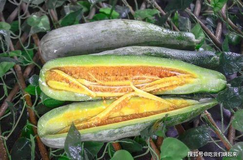 网红mack 吃瓜,揭秘娱乐圈背后的秘密与真相