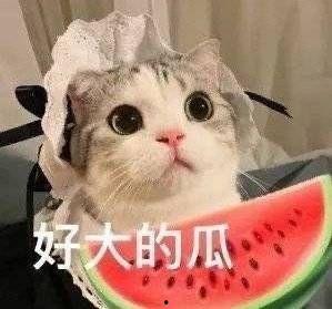 榆次网红阿呆岳旺吃瓜,吃瓜群众的美食之旅