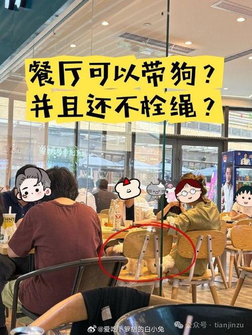 天津餐厅爆料视频最新版,揭露惊人内幕，食品安全引关注