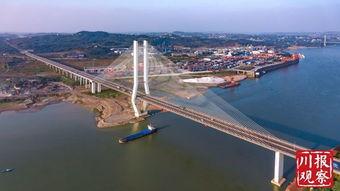 泰安大桥爆料视频大全播放