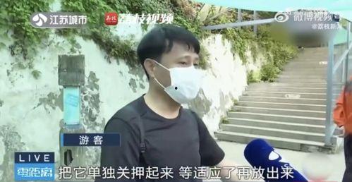 网红吃瓜挨打,一场网络暴力的警示录