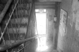 哈尔滨地下室爆料视频,惊曝惊人秘密！