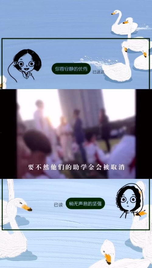 白灰先生爆料原视频去哪,探寻幕后真相