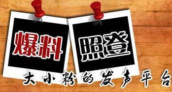 燃新闻爆料平台,行业动态背后的真相与影响