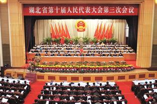 湖北记者爆料最新消息