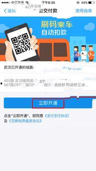 武汉支付宝爆料事件视频,揭秘背后真相与争议