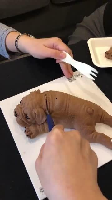 网红狗子跟闺蜜吃瓜,欢乐瞬间尽收眼底